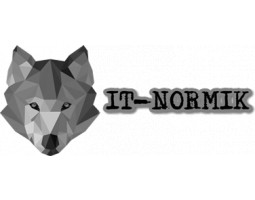 IT-Normik